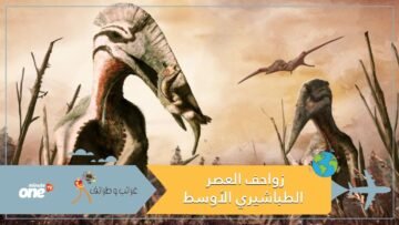 عاشت قبل 100 مليون عام.. علماء يكتشفون 3 أنواع جديدة من الزواحف المجنحة في الصحراء الكبرى
