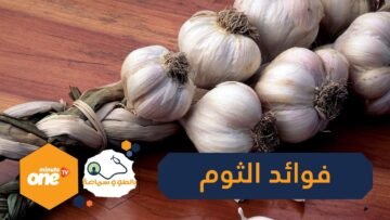 12 فائدة ستجعلك تتناول الثوم بشكل يومي