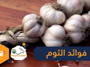 12 فائدة ستجعلك تتناول الثوم بشكل يومي