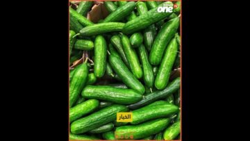 أصناف غذائية تساعدك على الصيام