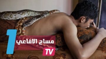 التدليك بالأفاعي