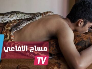 التدليك بالأفاعي