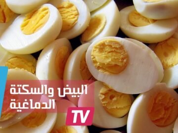 تناول بيضة واحدة يوميا يقي من السكتات الدماغية