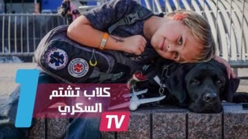 كلاب تشتم مرض السكري من تنفسكم