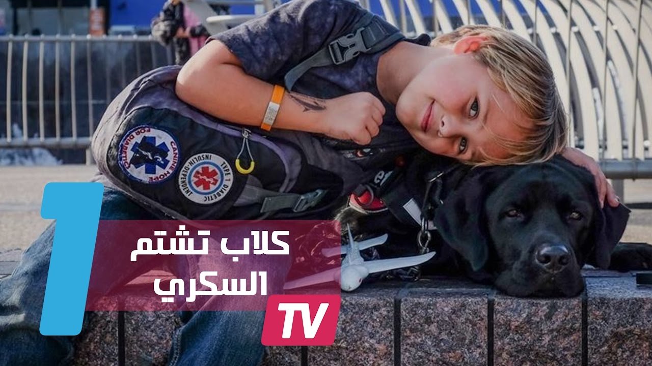 التحميل المسبق صورة