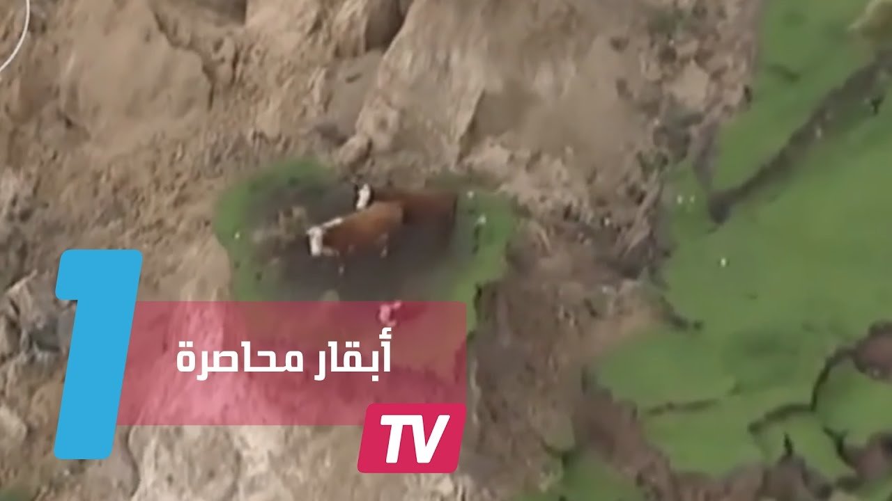 التحميل المسبق صورة