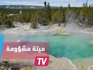 شاب يلقى حتفه بطريقة لم يكن يتوقعها