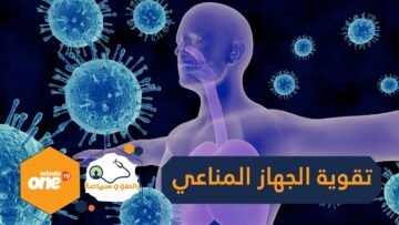 قبل البحث عن أدوية وأغذية وأعشاب تقوي الجهاز المناعي.. لا بد من القيام بهذه الأمور