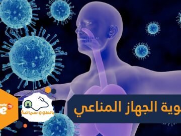 قبل البحث عن أدوية وأغذية وأعشاب تقوي الجهاز المناعي.. لا بد من القيام بهذه الأمور