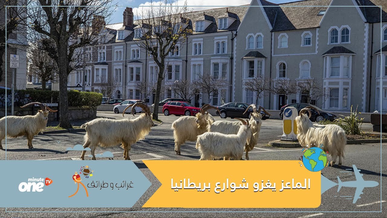 التحميل المسبق صورة