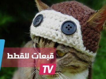 قبعات من الكروشيه مصنوعا خصيصا للقطط