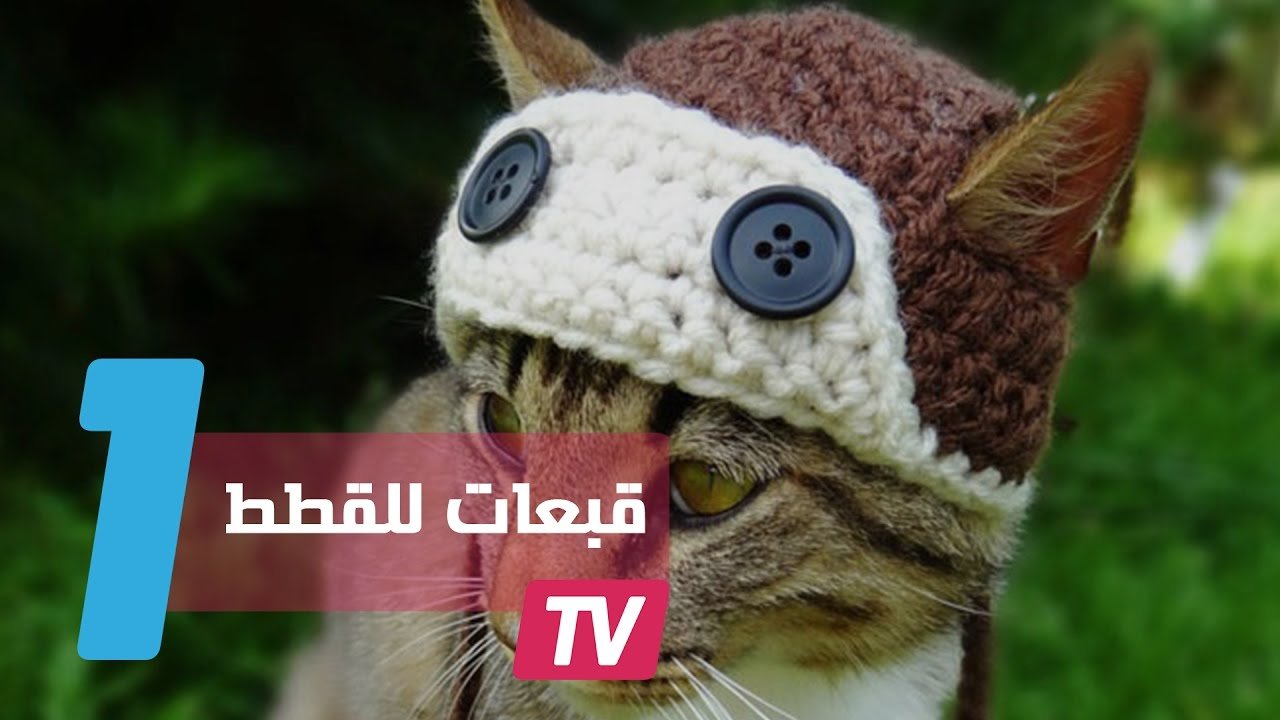 التحميل المسبق صورة