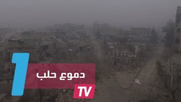 وزيرة سويدية تذرف دموع الحزن على معاناة حلب