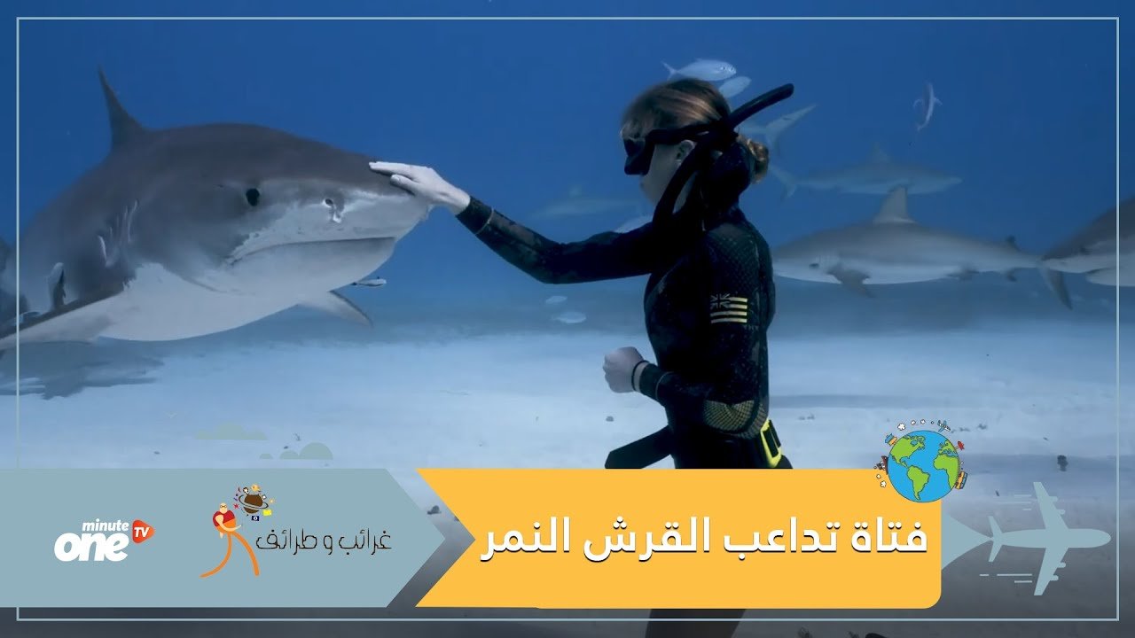 التحميل المسبق صورة