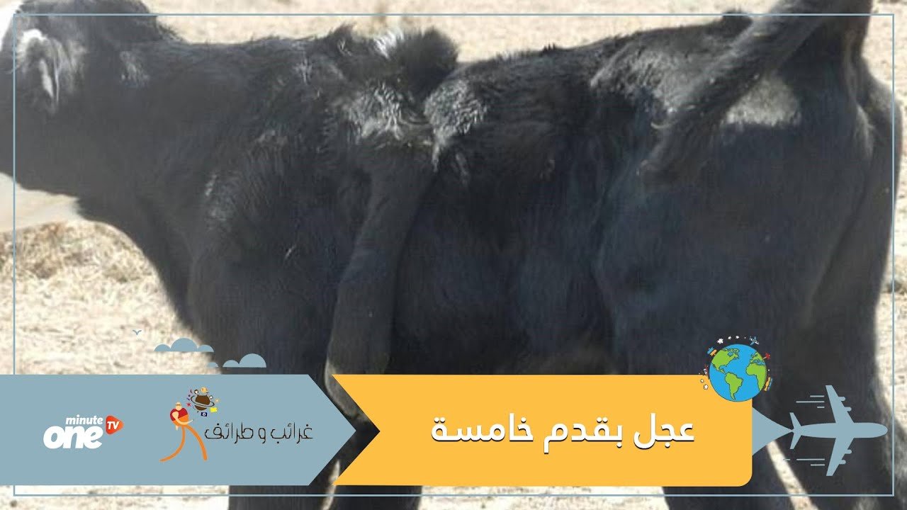 التحميل المسبق صورة