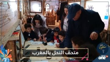 شاهد.. متحف النحل بالمغرب.. جولة مثيرة في عالم ممالك العسل