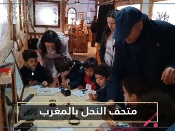 شاهد.. متحف النحل بالمغرب.. جولة مثيرة في عالم ممالك العسل