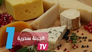 ما العلاقة بين تناول الجبنة وطول عمر الإنسان؟