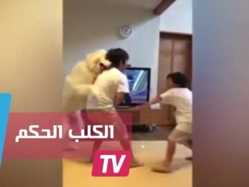 كلب حكم.. يحاول وقف شجار شقيقين متخاصمين