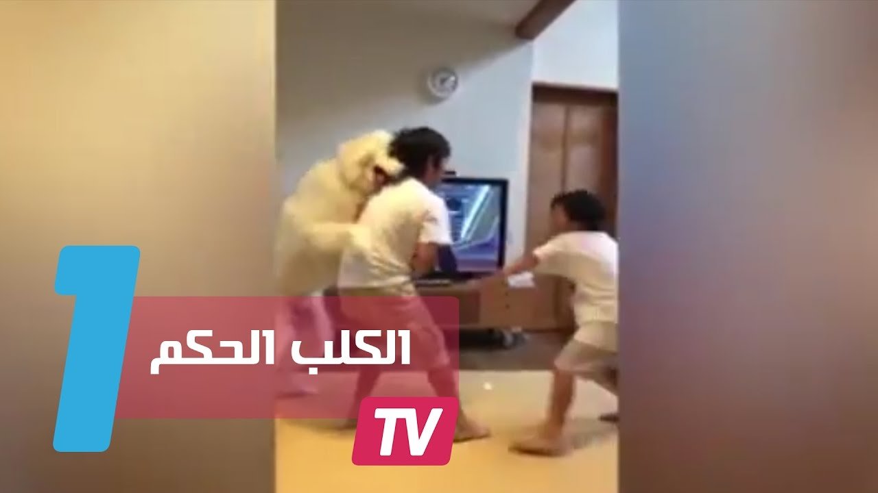 التحميل المسبق صورة