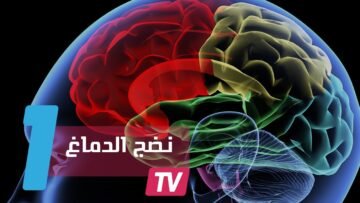 الدماغ لا ينضج قبل سن الثلاثين