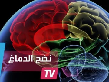 الدماغ لا ينضج قبل سن الثلاثين