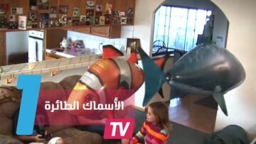 شاهدوا.. أسماك تسبح  في الهواء