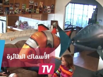 شاهدوا.. أسماك تسبح  في الهواء