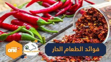 دراسة  تناول الطعام الحار يطيل عمر الإنسان