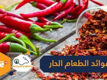 دراسة  تناول الطعام الحار يطيل عمر الإنسان