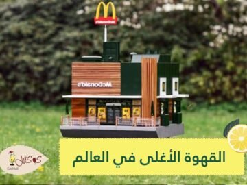 شاهد   افتتاح أصغر فرع ماكدونالدز في العالم لكنه ليس للبشر