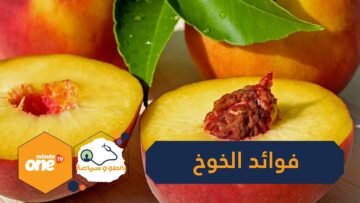 فوائد الخوخ أبرزها تقوية المناعة والوقاية من السرطان