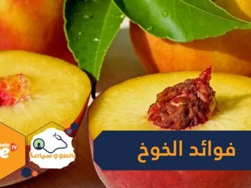 فوائد الخوخ أبرزها تقوية المناعة والوقاية من السرطان