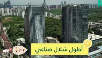 شاهد   شابة تتخلى عن عملها لتعيش وحيدة في الغابة