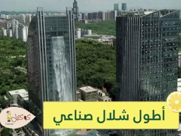 شاهد   شابة تتخلى عن عملها لتعيش وحيدة في الغابة