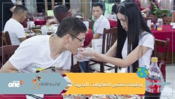 وظيفة غريبة خدمة تقشير المأكولات البحرية بـ1500 دولار شهريا