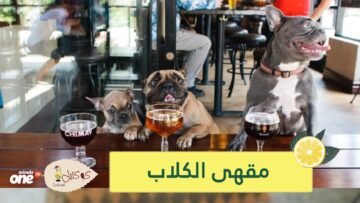 مقهى الكلاب بالإسكندرية هواية واستمتاع