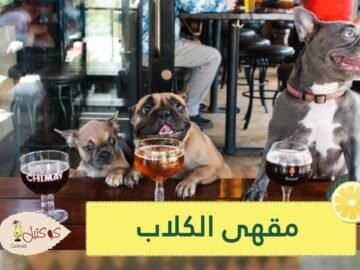 مقهى الكلاب بالإسكندرية هواية واستمتاع