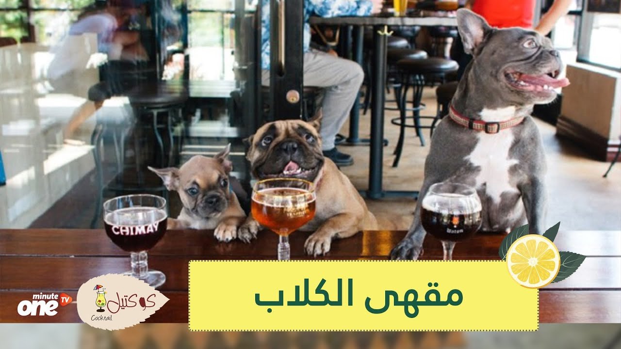 التحميل المسبق صورة