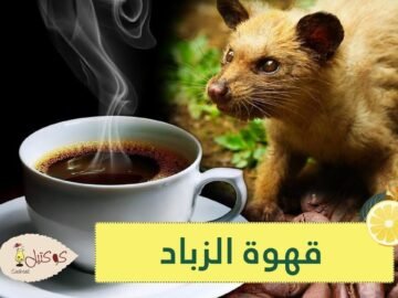 قهوة الزباد تصنع من براز القطط وسعرها خيالي!