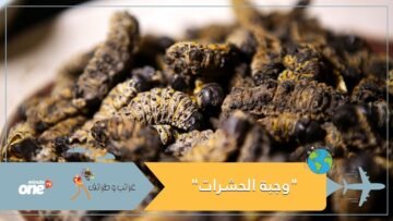 تعرف على أول مطعم بجنوب إفريقيا لوجبات الحشرات