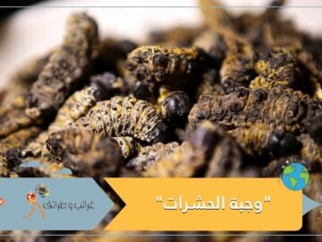 تعرف على أول مطعم بجنوب إفريقيا لوجبات الحشرات