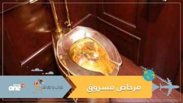 ! بالفيديو تعرف على أغرب سرقة في العالم