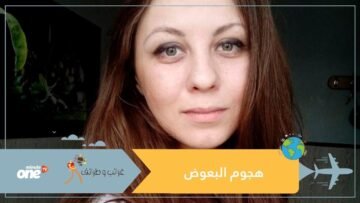 شاهد فتاة تطعم أسراب البعوض من دمها!