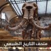 متحف التاريخ الطبيعي رحلة ملايين السنوات إلى الماضي