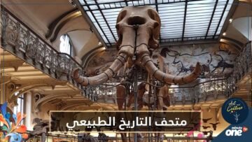 متحف التاريخ الطبيعي رحلة ملايين السنوات إلى الماضي