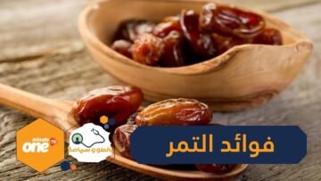 التمر من أشهر الأصناف التي لا تخلو منها المائدة الرمضانية  تعرف على فوائده