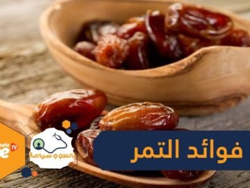 التمر من أشهر الأصناف التي لا تخلو منها المائدة الرمضانية  تعرف على فوائده