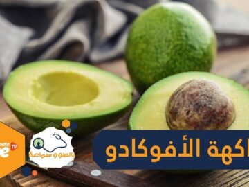 فاكهة الأفوكادو فوائد صحية وجمالية مذهلة!