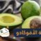 فاكهة الأفوكادو فوائد صحية وجمالية مذهلة!